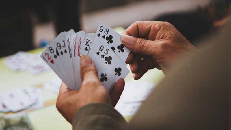 Khái niệm Luật báo Sâm là gì?