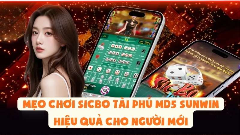 Mẹo Chơi Sicbo Tài Phú MD5 Sunwin Hiệu Quả Cho Người Mới